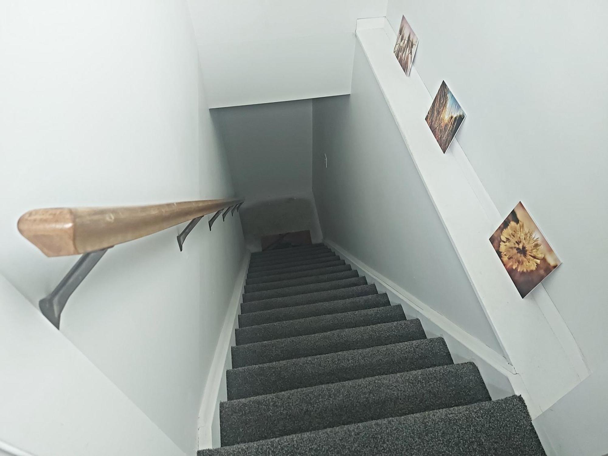 טאיהפה Duxhouse Bnb מראה חיצוני תמונה